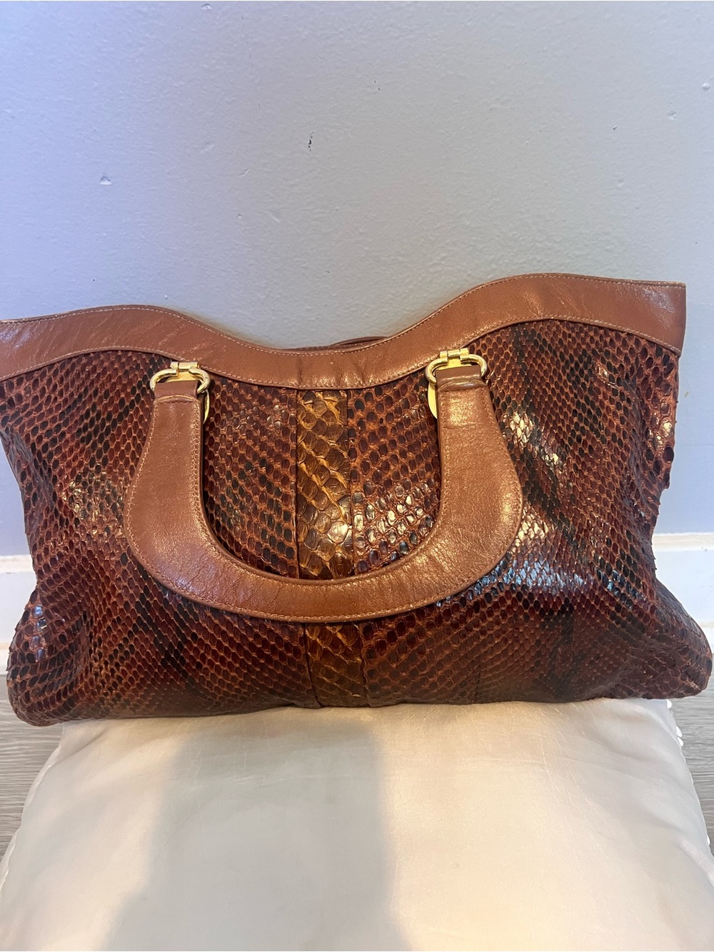 Brown Snake-Texture Tote Bag with Gold Hardware